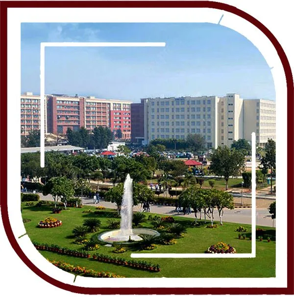 Chandigarh University Programs